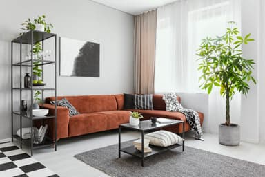 photos 1